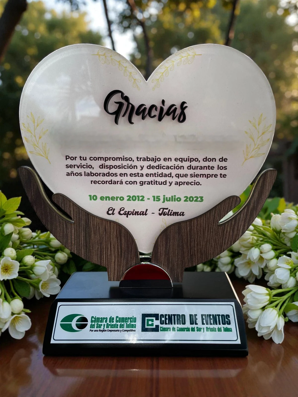 Reconocimiento corazón