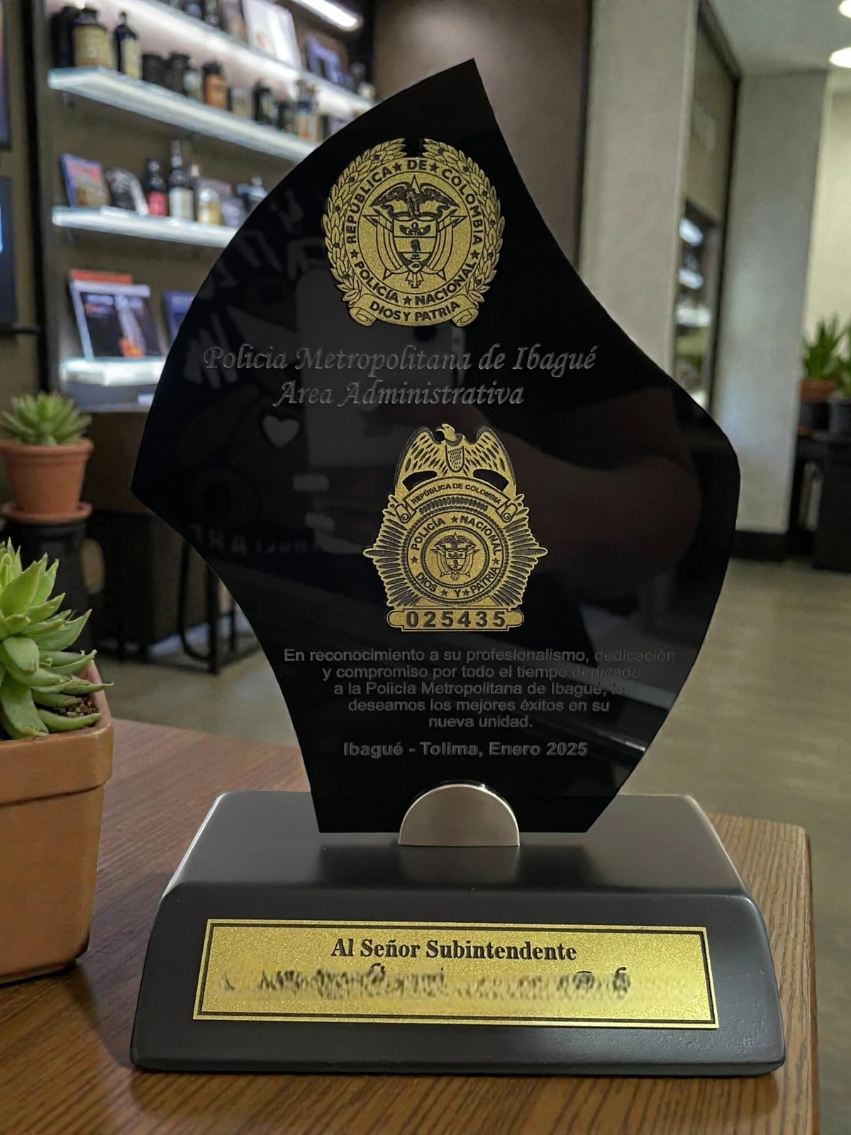 Placa curva acrílico