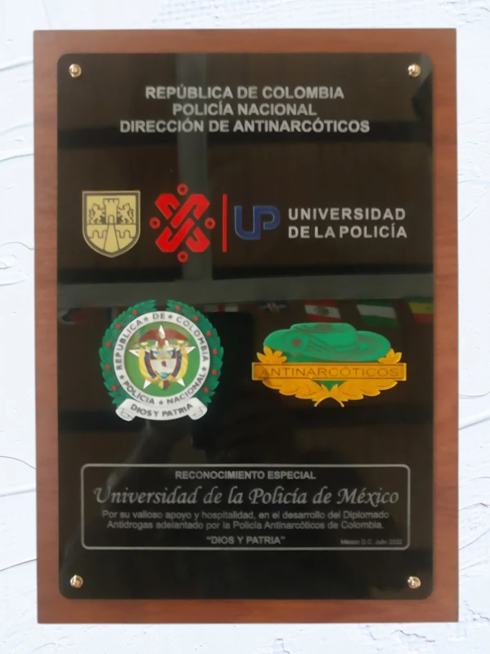 Placa pared alto relieve grande