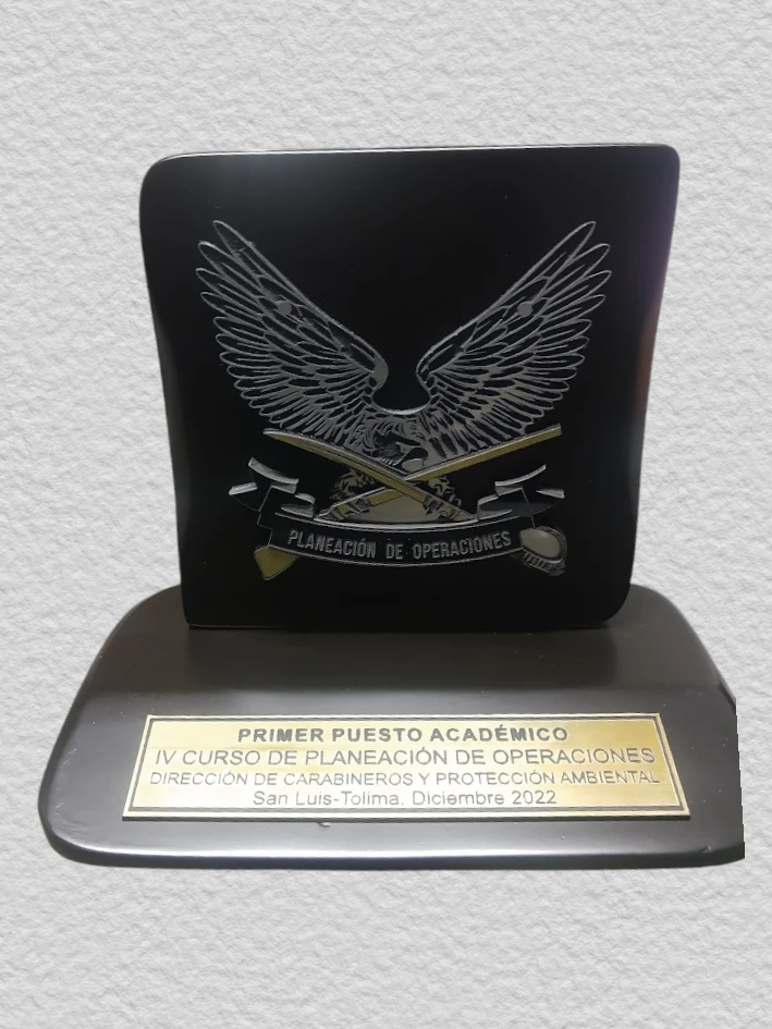 Placa pequeña