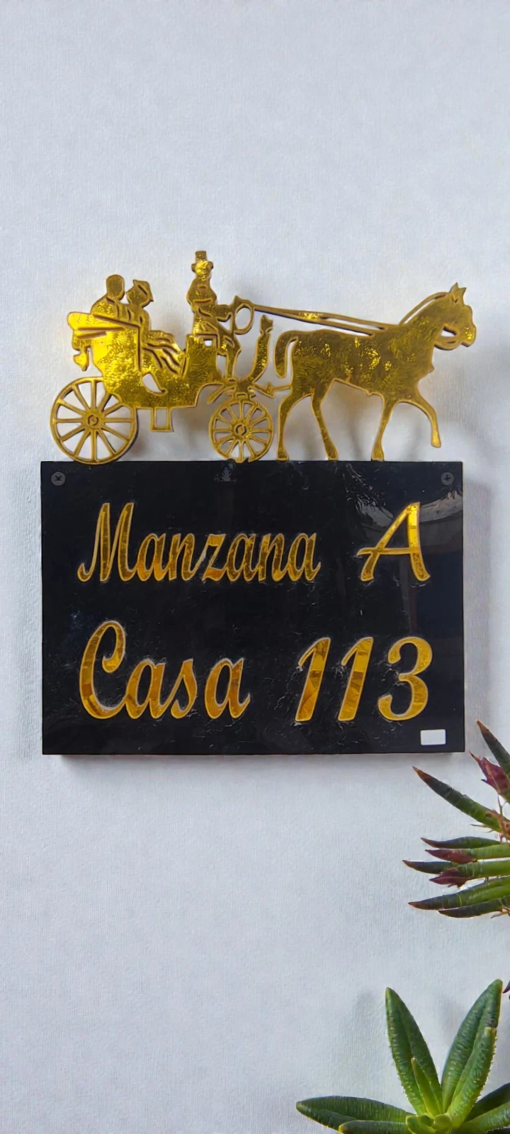 Nomenclatura caballo